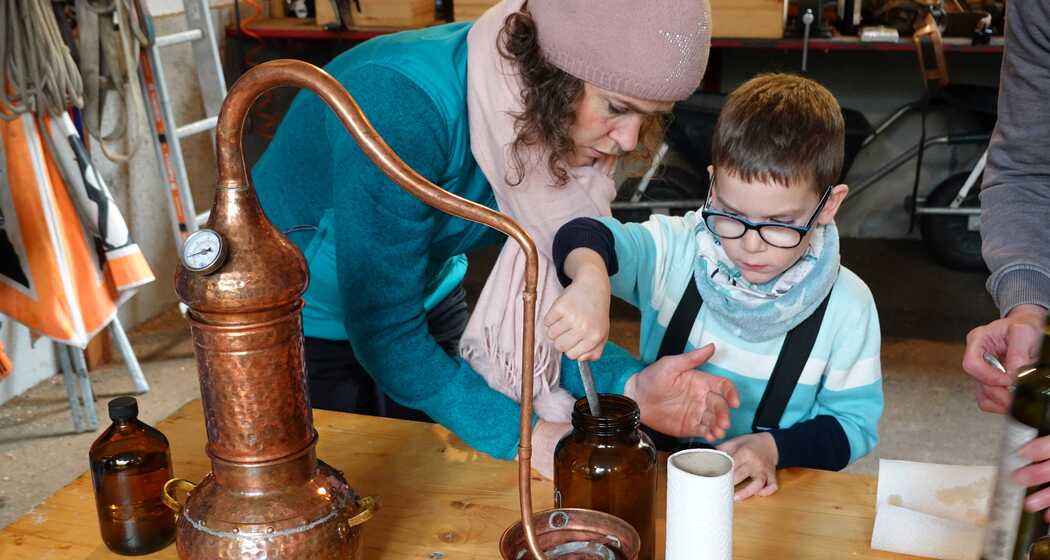 Einheimische Pflanzen destillieren - eintauchen in die Welt der Pflanzendüfte (gdl_867845288_image)
