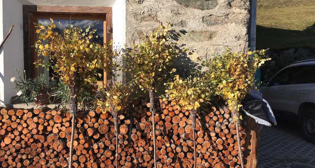 Alte Techniken entdecken - Besen binden (gdl_868551640_image)