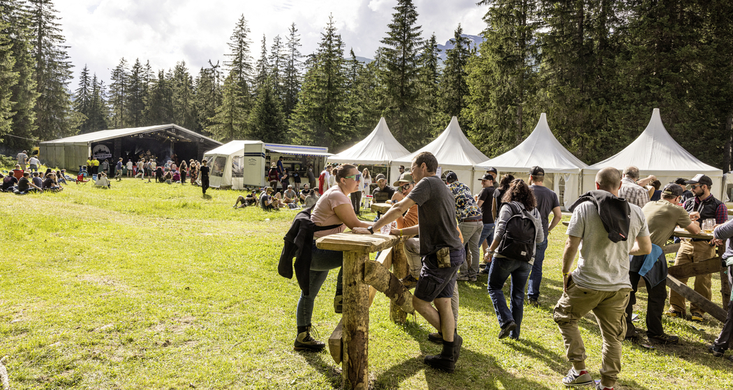 Openair Rheinwald (gdl_870362840_image)