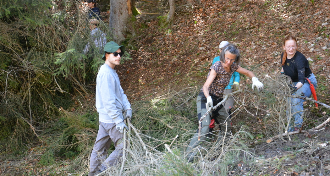Natur verbindet: Waldrandpflege im abgelegenen Valzeinertal (gdl_872519080_image)