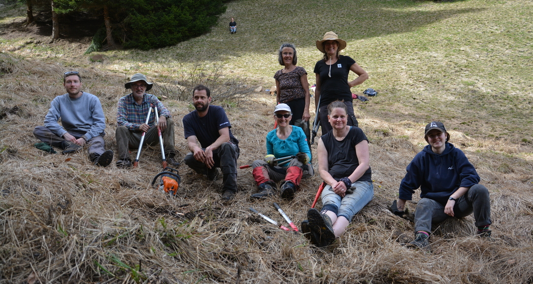 Natur verbindet: Waldrandpflege im abgelegenen Valzeinertal (gdl_872519081_image)
