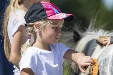 Reiten für Kinder (gdl_874818613_image)