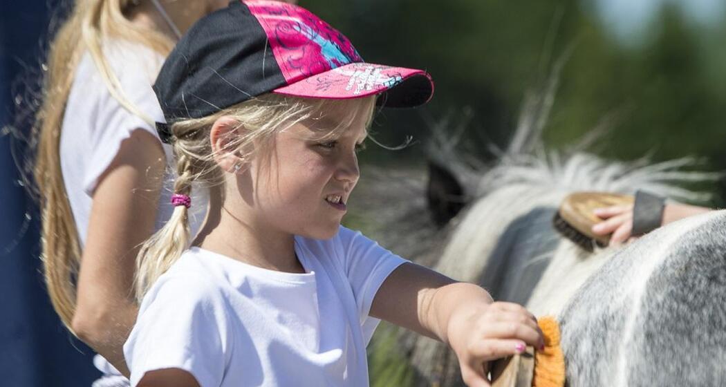 Reiten für Kinder (gdl_874818613_image)