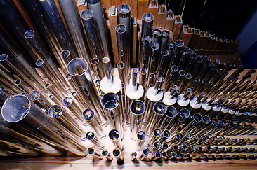 Orgelführung für Familien (gdl_874969218_image)