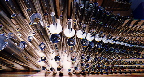 Orgelführung für Familien (gdl_874969218_image)