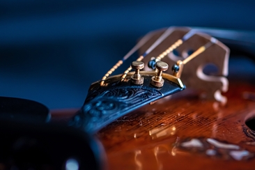 Konzert Tamins der Musikschule Imboden (gdl_877363727_image)