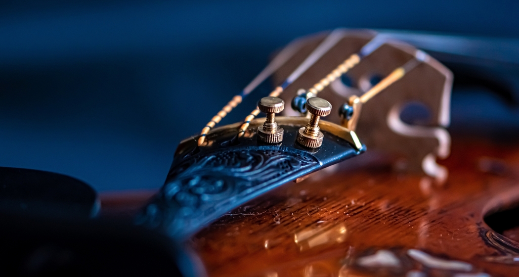 Konzert Tamins der Musikschule Imboden (gdl_877363727_image)