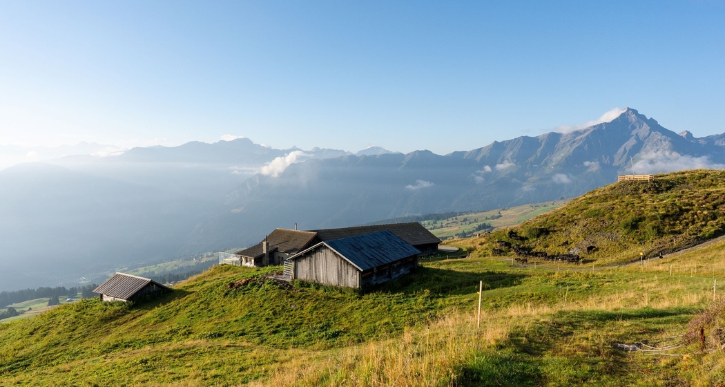Die sarner alp am morgen