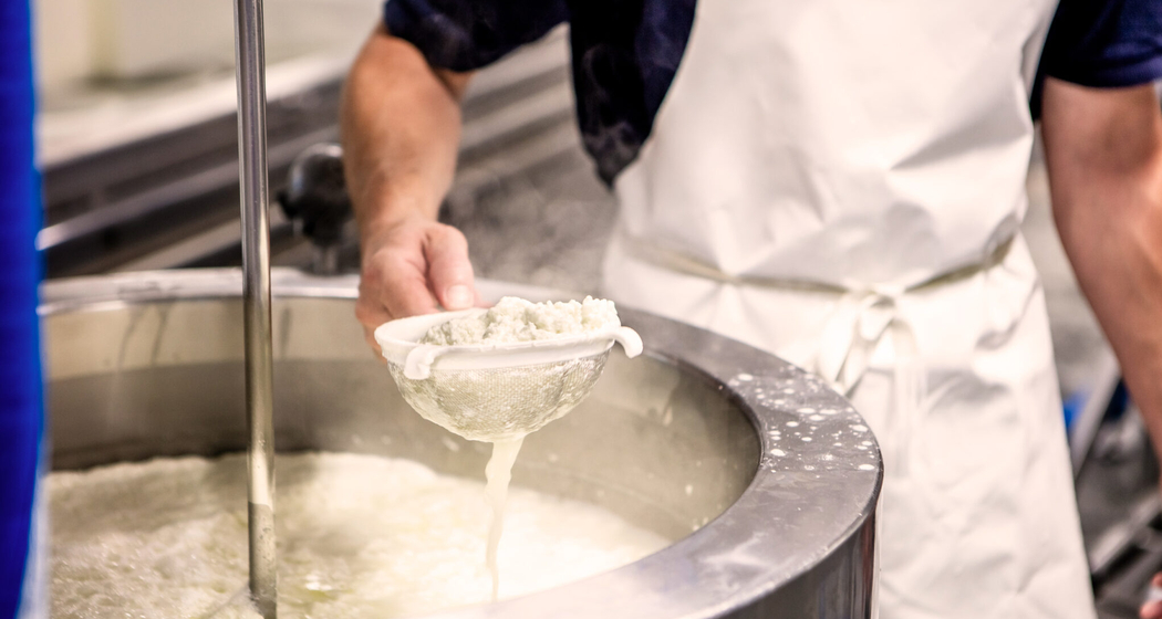 Der Weg von der Milch zum Käse in der Sennerei Sufers (gdl_881342172_image)