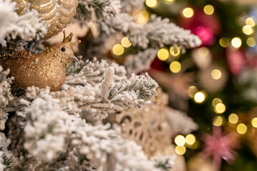 Weihnächtliche Philosophie-Soirée mit Barbara Bleisch und Wolfram Eilenberger (gdl_883804518_image)