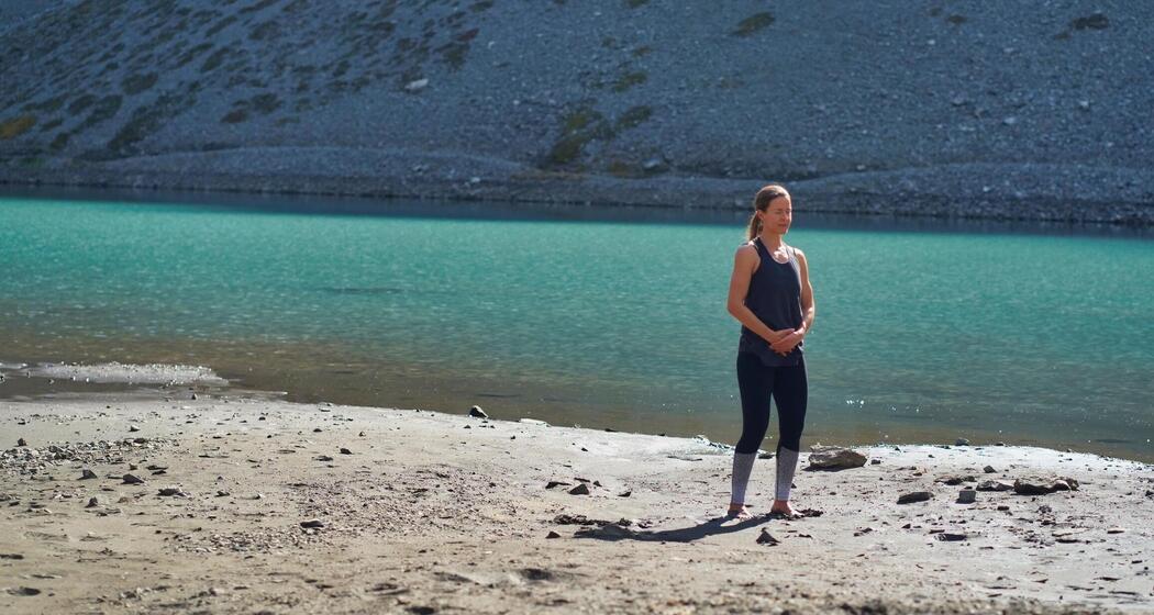 5 Animal Qigong (gdl_885746733_image)