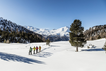 Geführte Schneeschuhwanderung für Einsteiger (Halbtagestour) (gdl_891644845_image)