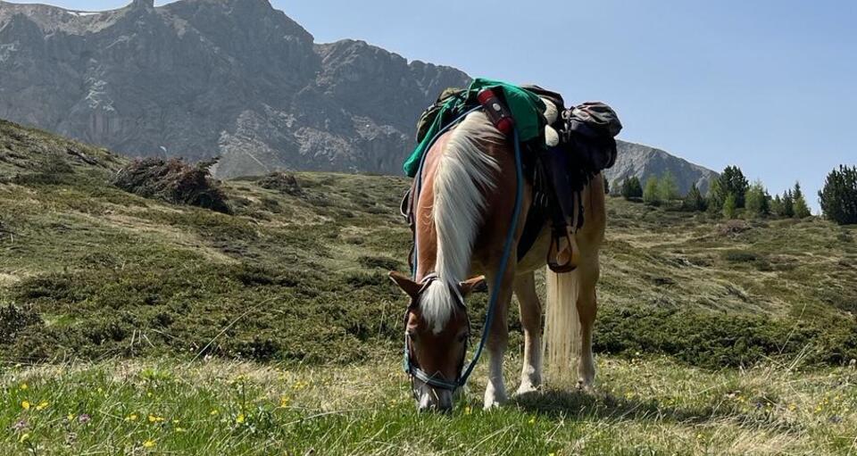 2 Tagesritt ins Münstertal (gdl_891985780_image)