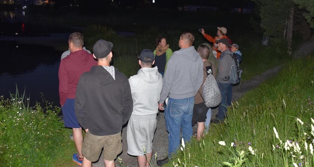 ArosaAkademie «Fledermaus Exkursion» (gdl_893878737_image)