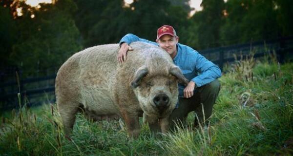 ArosaAkademie «Kinoabend» (gdl_895064398_image)