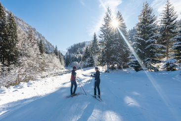 Nordic Tag in Flond (gdl_895525989_image)