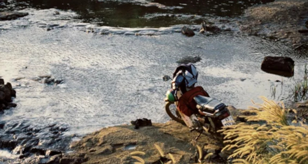 Cinema: "Inside the yellow cocoon Shell" in Ilanz (gdl_895556405_image)