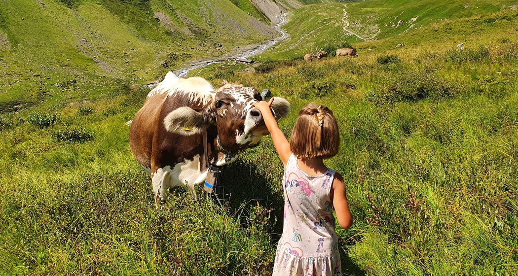 agrischa - Erlebnis Landwirtschaft Zernez (gdl_895697955_image)