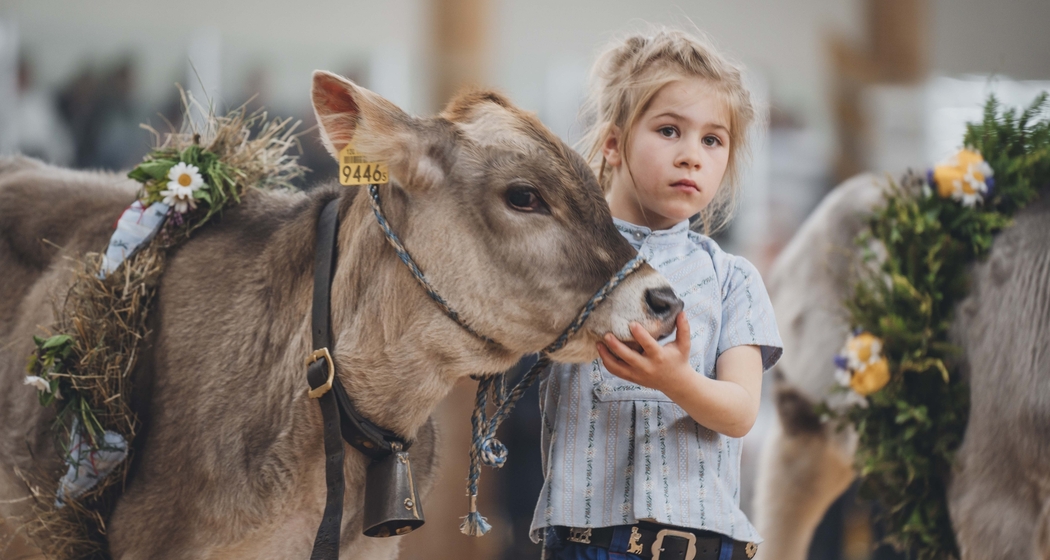 agrischa - Erlebnis Landwirtschaft Zernez (gdl_895697956_image)