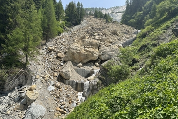 Di dal god / Forest day (gdl_895726641_image)