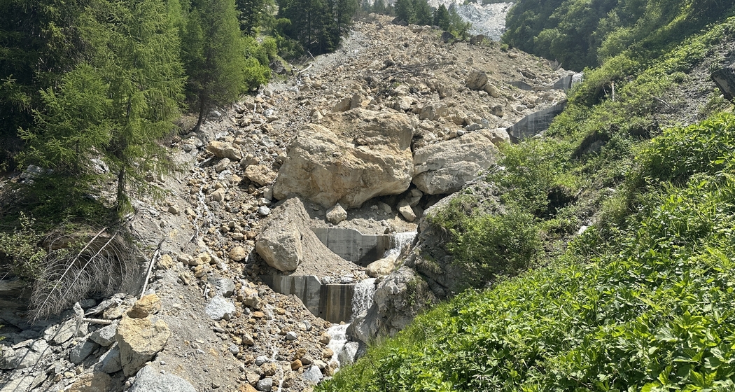 Di dal god / Waldtag (gdl_895726641_image)