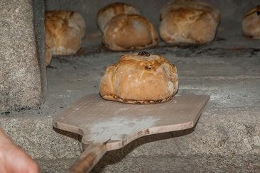 Wood-fired bread sales (gdl_896617739_image)