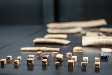 Führung im archäologischen Archiv zur Weihnachtszeit (gdl_896945552_image)