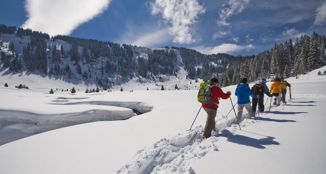 Wildtier-Erlebnis auf Schneeschuhen am Flumserberg (gdl_897551014_image)
