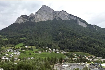 “GRÜNE GEISS” - DER UMWELTSTAMMTISCH (gdl_897638845_image)