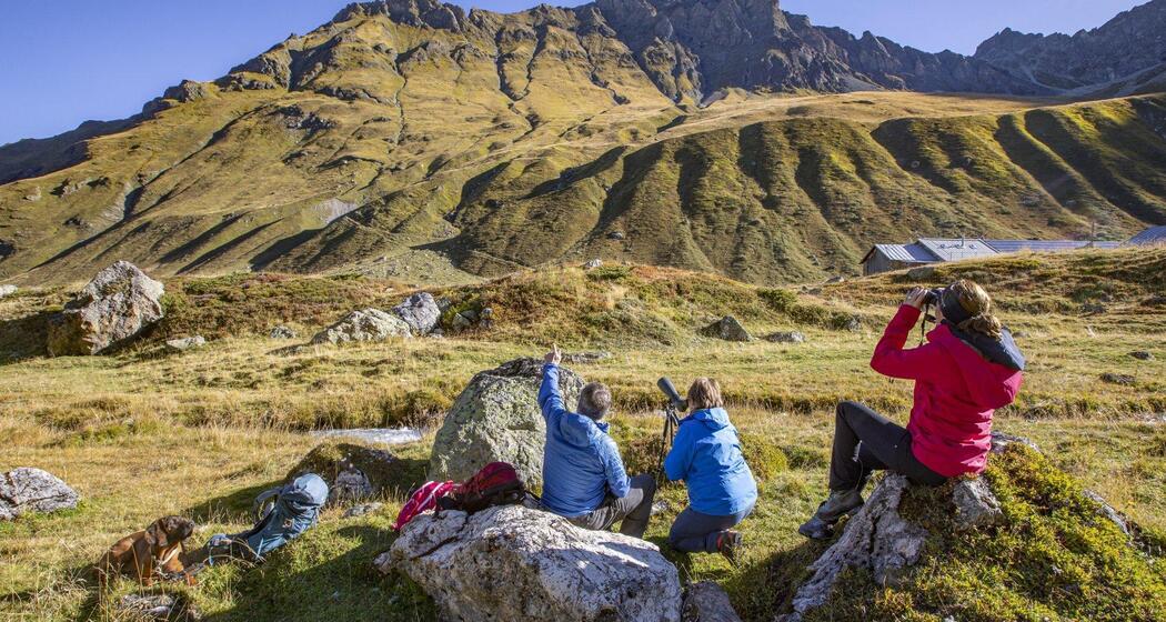 2-Tages-Wildbeobachtung im Parc Ela (gdl_897825008_image)