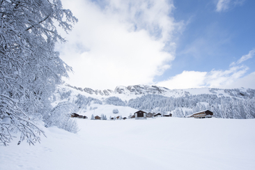 Festtags-Apéro im Rheinwald - Medels (gdl_897965970_image)