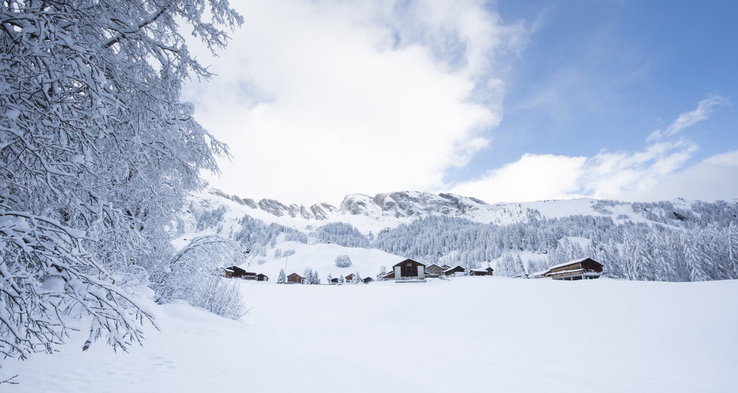 Festtags-Apéro im Rheinwald - Medels (gdl_897965970_image)