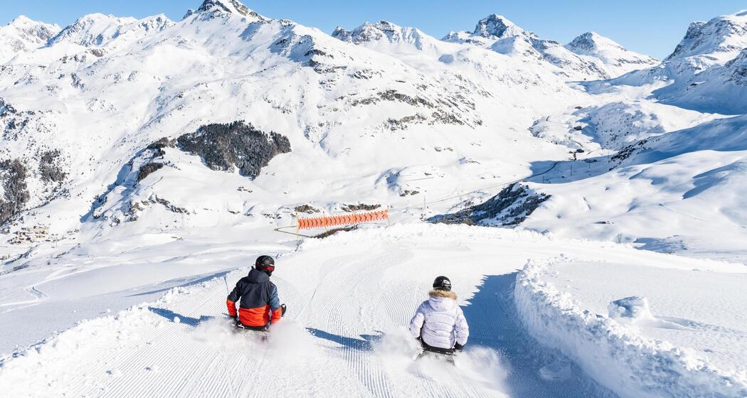 Pistenbock Schlittelrennen (gdl_897979545_image)