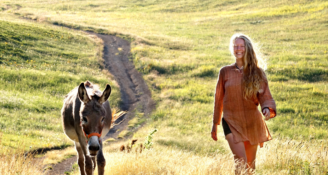 Explora: Drei Esel im Balkan (gdl_898125915_image)