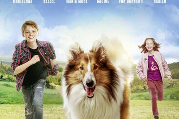 Cinema Stalla - Lassie- Eine abenteuerliche Reise (gdl_898653291_image)