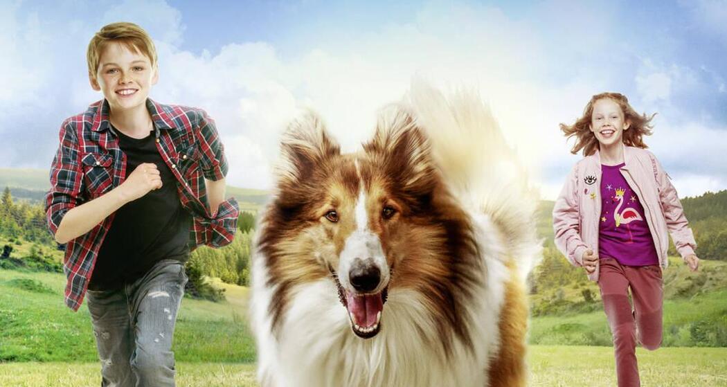 Cinema Stalla - Lassie- Eine abenteuerliche Reise (gdl_898653291_image)