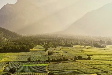 Weinfest Maienfeld (gdl_899133086_image)