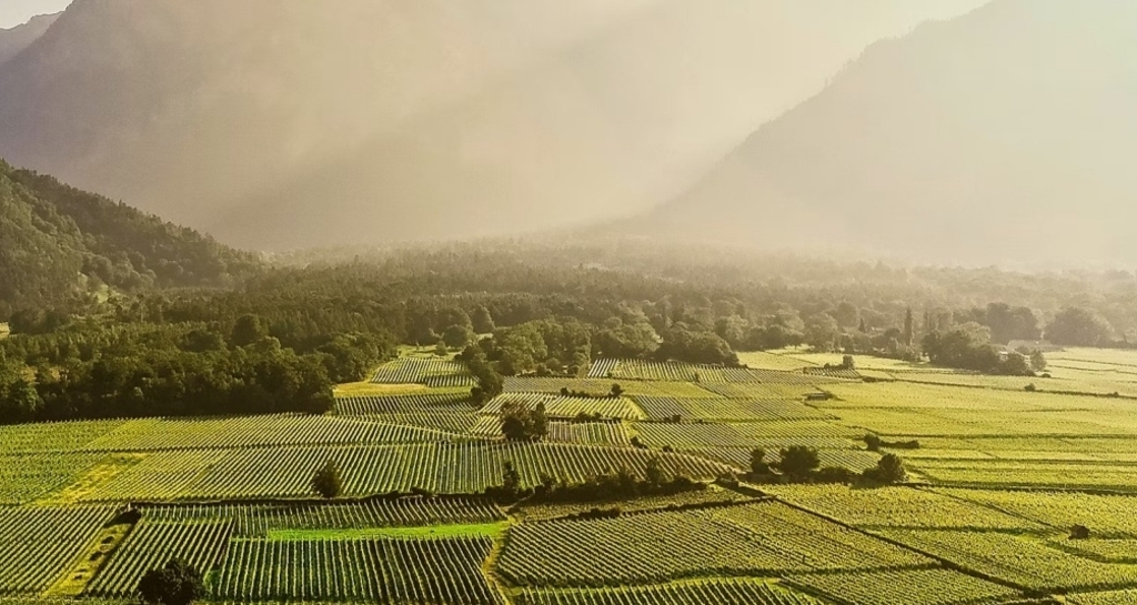 Weinfest Maienfeld (gdl_899133086_image)
