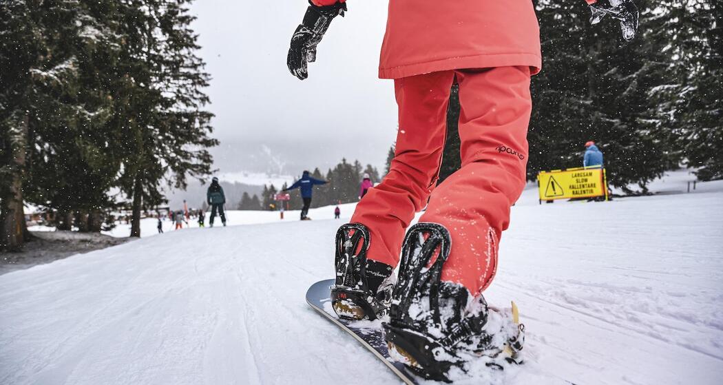 Beginner all inkl. (gdl_899148723_image)