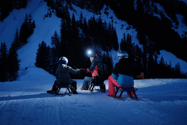 Vollmond-Schlitteln in Tschiertschen (gdl_899912193_image)