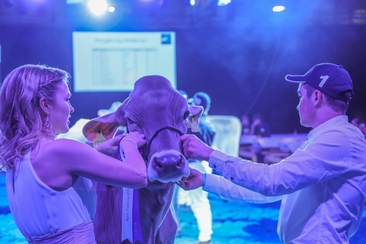 Alpin Festival (gdl_899953794_image)