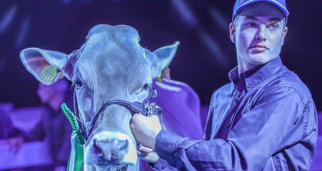 Alpin Festival (gdl_899953796_image)