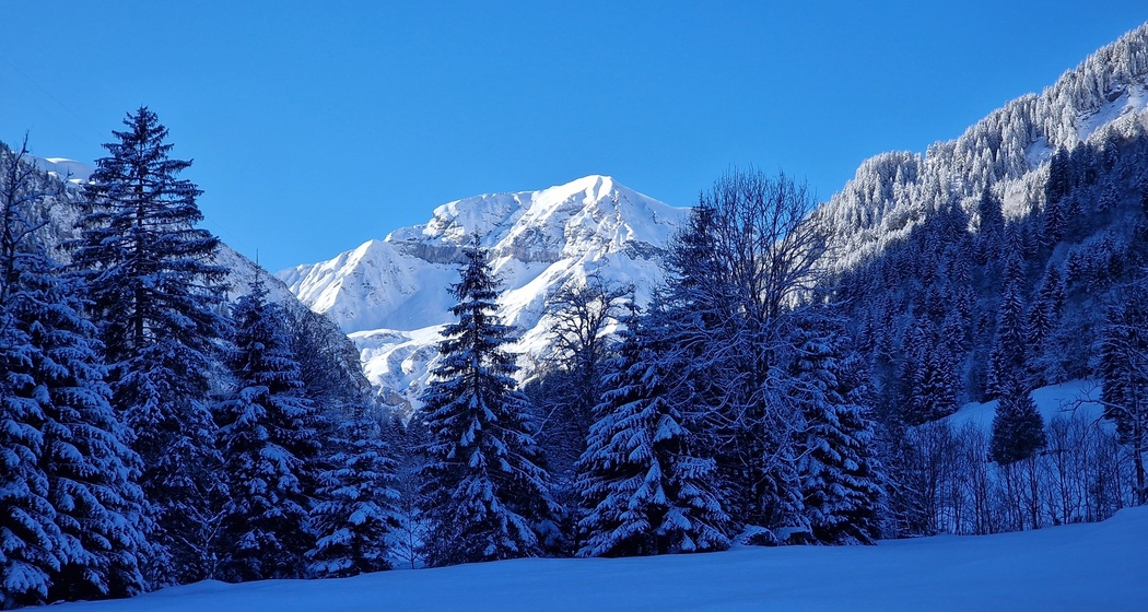 Naturerlebnis im Weisstannental (gdl_900332722_image)