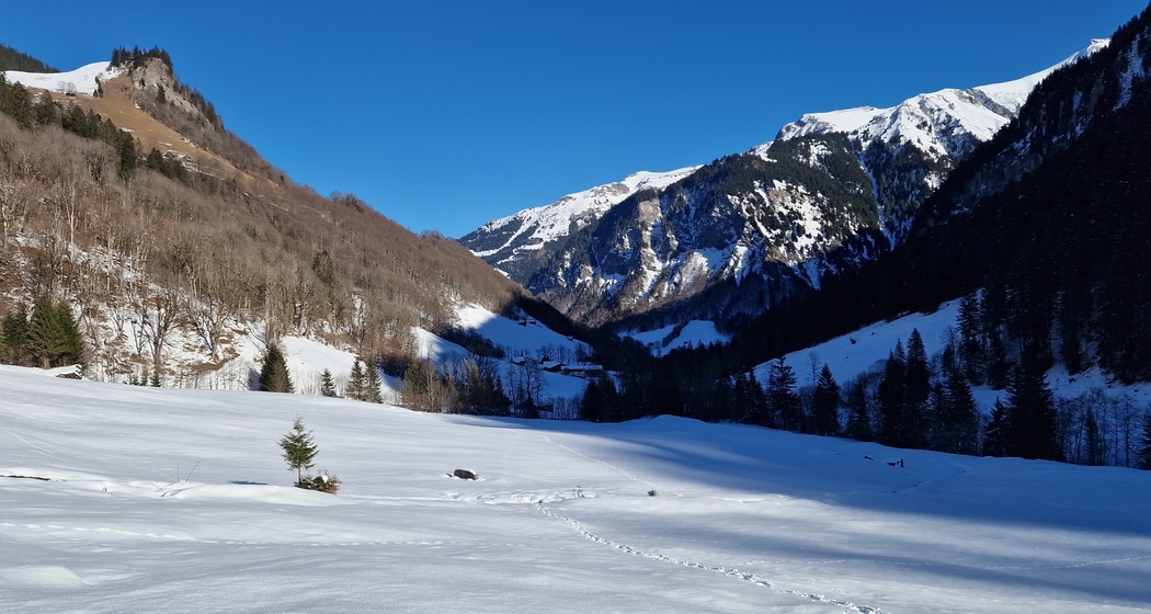 Naturerlebnis im Weisstannental (gdl_900332724_image)