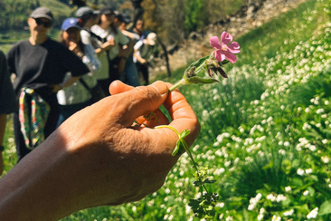 Yoga & Wildkräuter im Valposchiavo (gdl_900414981_image)