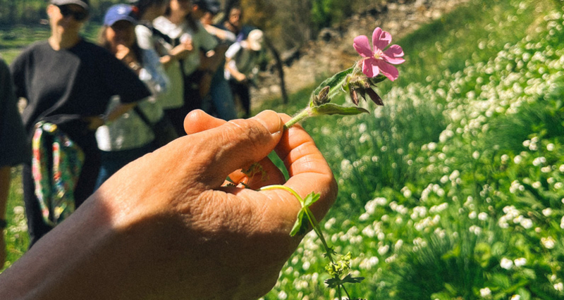 Yoga & Wildkräuter im Valposchiavo (gdl_900414981_image)