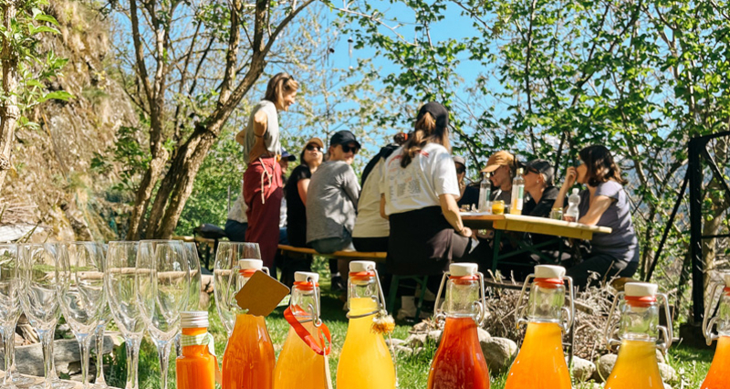 Yoga & Wildkräuter im Valposchiavo (gdl_900414983_image)