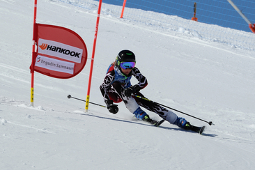 Skirennen (gdl_900803966_image)