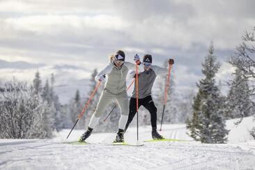 Langlauf Gruppenkurs skating | Anfänger (gdl_900824079_image)