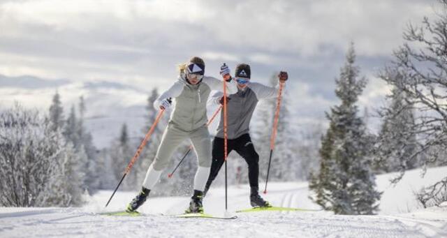 Langlauf Gruppenkurs skating | Anfänger (gdl_900824079_image)